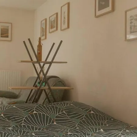 Le Flamboyant Apartment Cholet
